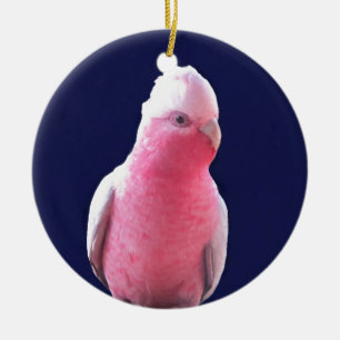 Cheeky pink and grey Australian parrot Ceramic Ornament