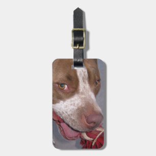 Cheeky Pitbull Luggage Tag