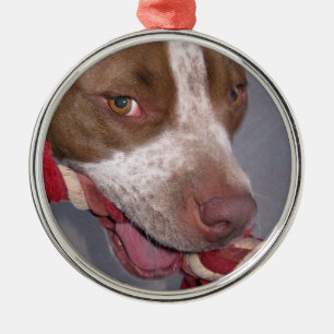 Cheeky Pitbull Metal Ornament