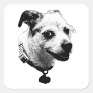 Cheeky Pup Terrier Mix Sticker