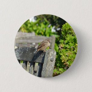 Cheeky Sparrow 2 Inch Round Button