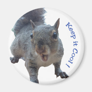 Cheeky Squirrel Fridge Magnet