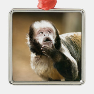 Cheeky & thoughtful baby capuchin monkey metal ornament