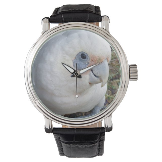 Cheeky White Cockatoo, Watch (Front)