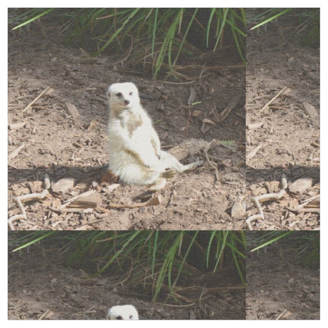 Cheeky White Meerkat, Fabric (Close Up)