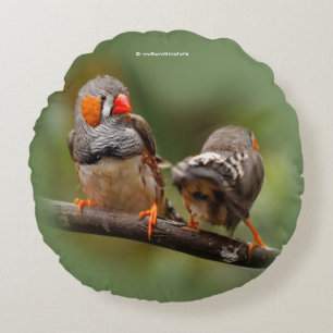 Cheeky Zebra Finches Songbirds on Branch Round Pillow