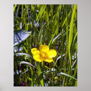 Cheer Up Buttercup Poster