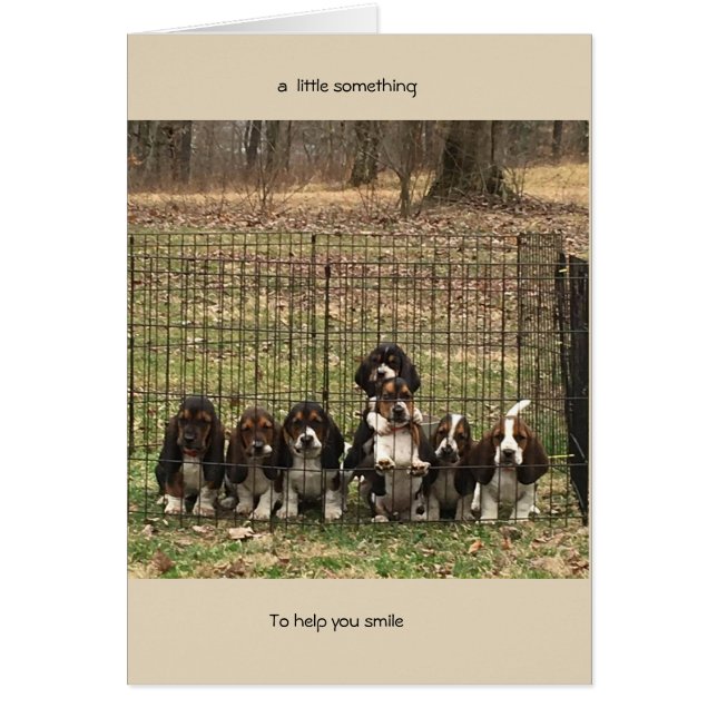 cheer up card Basset hound (Front)