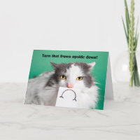 Cheer Up Encouragement Funny Cat With Frown