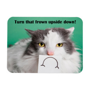 Cheer Up Encouragement Funny Cat With Frown  Magnet