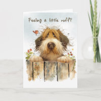 Cheer Up Mixed Breed Dog Looking Over Fence