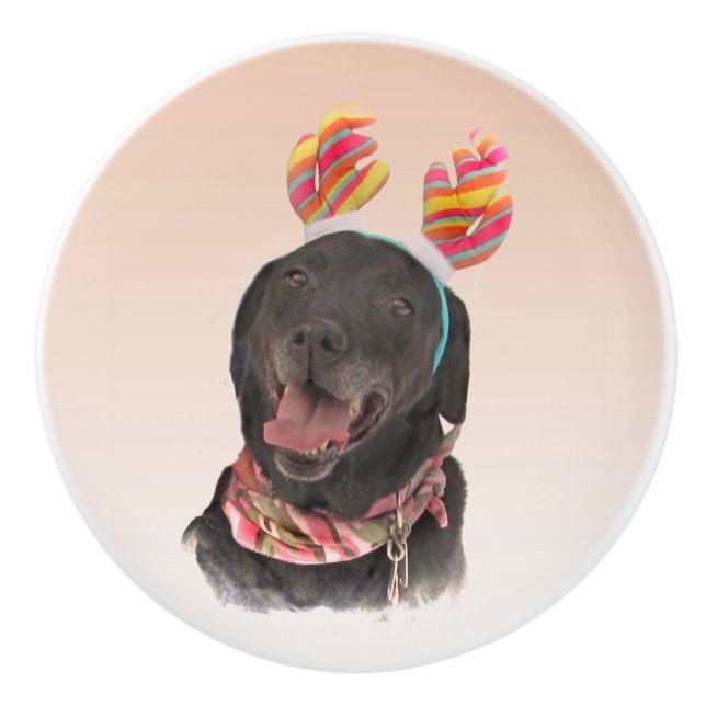 Cheerful Black Labrador Retriever Dog Ceramic Knob (Front)