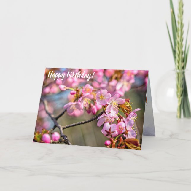 Cheerful Cascade Of Sakura Flowers On A Spring Day Card (Front)