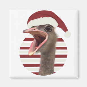 Cheerful Christmas Ostrich With Santa Hat Magnet