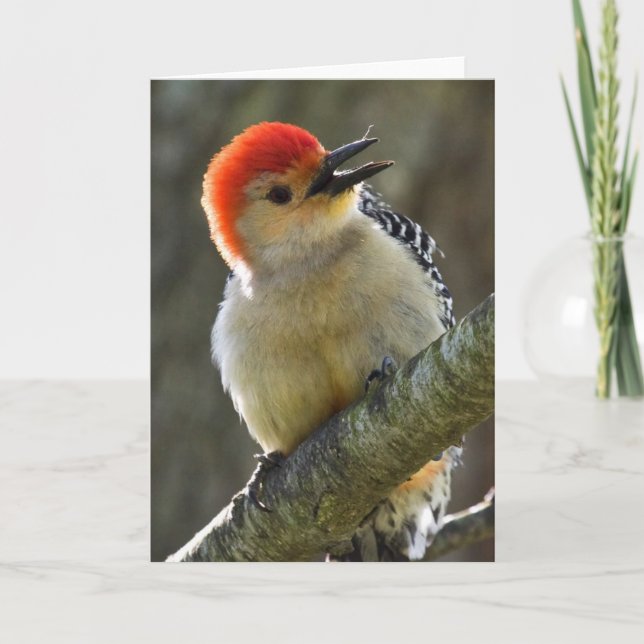 Cheerful Greeting Card (Front)