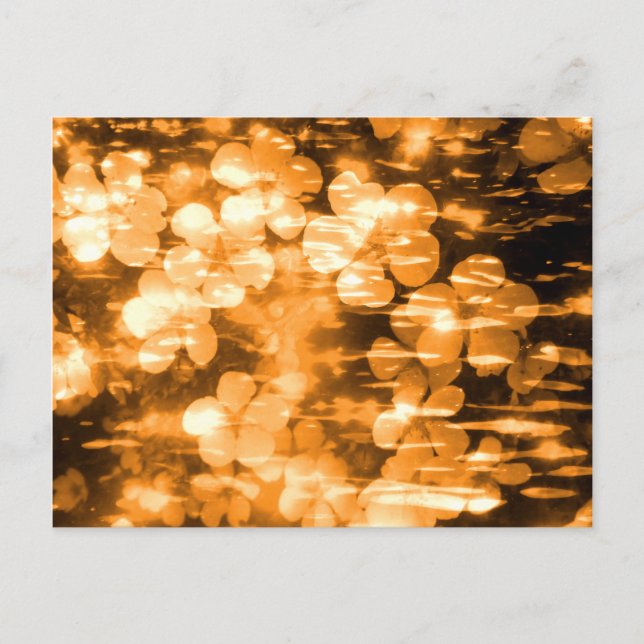 Cheerful Orange Bright Pretty Floral Creation Postcard (Front)