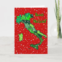 Cheerful Pastel Snowflakes and Map of Italy