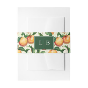 Cheerful Peach Illustration Grid Invitation Belly Band
