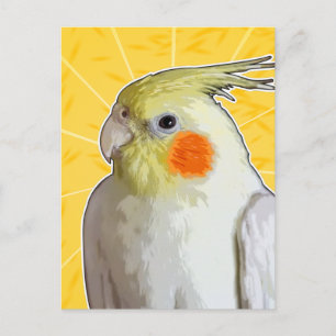 Cheerful Pet Cockatiel Bird Lemon Yellow Sunshine Postcard