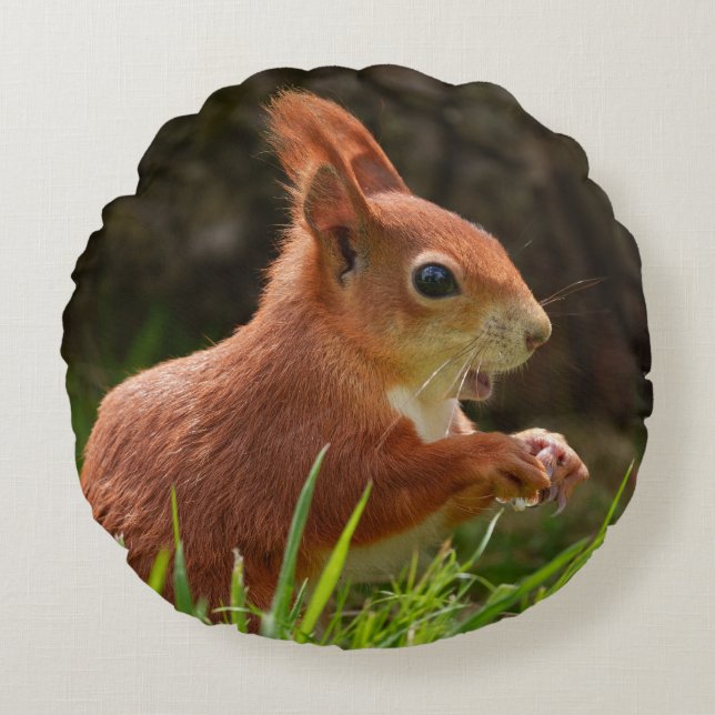 Cheerful Red Squirrel Round Pillow (Front)