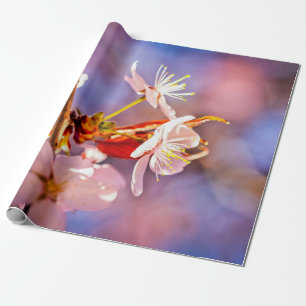 Cheerful Sakura Flowers Wrapping Paper