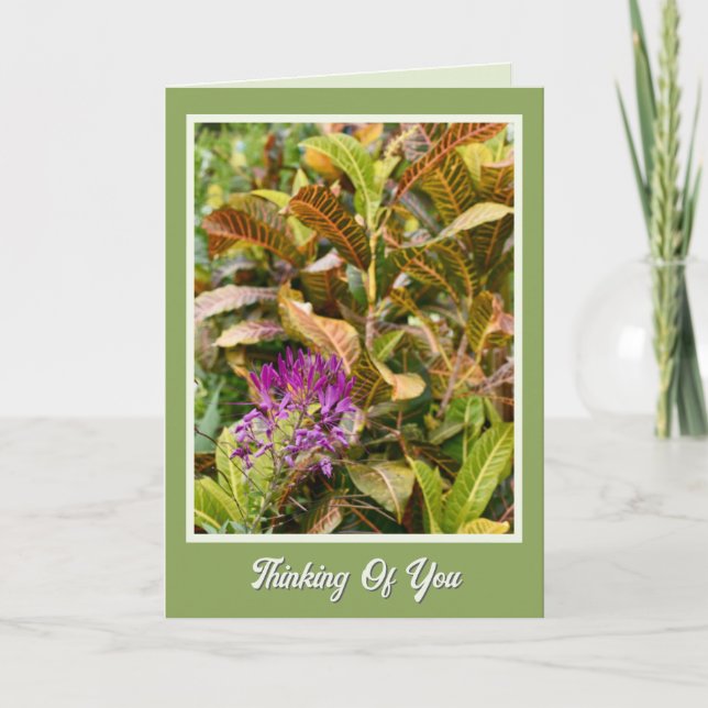 Cheerful Speedy Recovery Thinking of You Card (Front)