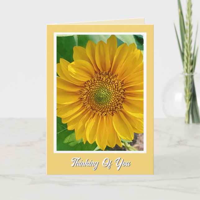 Cheerful Speedy Recovery Thinking of You Card (Front)