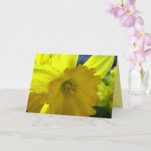 Cheerful Yellow Daffodil Narcissus Spring Flowers Card