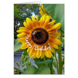 Cheerful Yellow Sunflower with Bee Birthday