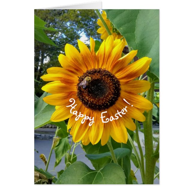 Cheerful Yellow Sunflower with Bee Easter Card (Front)