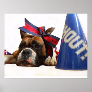 Cheerleader boxer poster