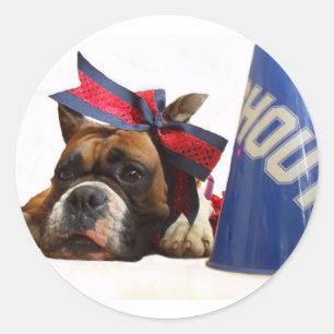 Cheerleader boxer stickers