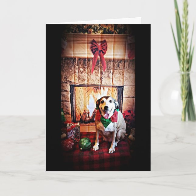 CHEERS MERRY CHRISTMAS / HAPPY NEW YEAR HOLIDAY CARD (Front)