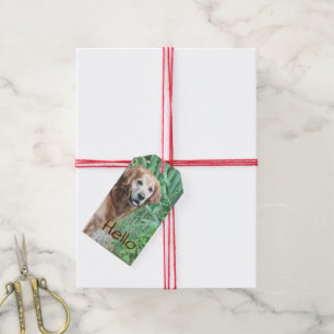 Cheers To A Beautiful Day Gift Tags