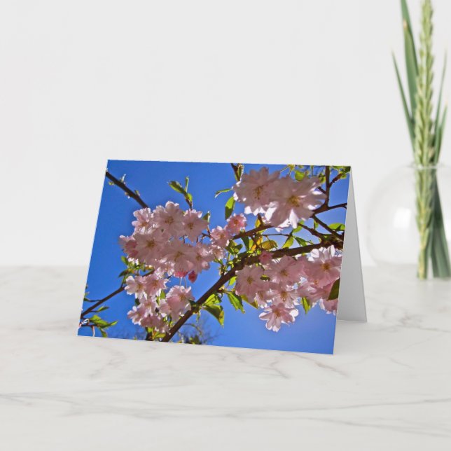 Cheery Cherry Blossoms Greeting and Note Cards (Front)