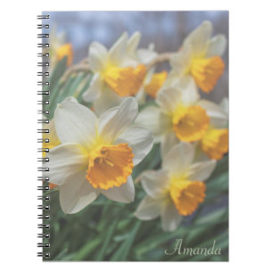 Cheery Daffodils (faded) Notebook