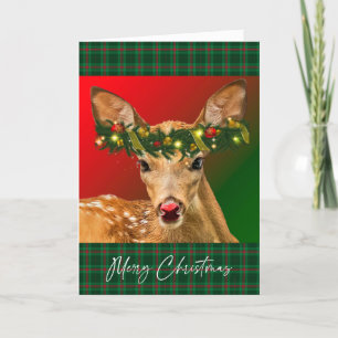 Cheery Fawn Plaid Christmas Card