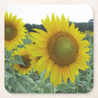 Cheery Sunflower Coasters
