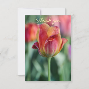 Cheery Tulip Thank You Card