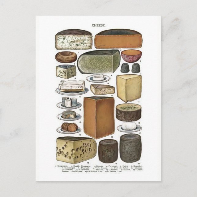 Cheese Postcard (Front)