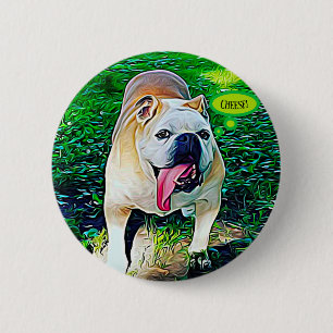 Cheese smiling bulldog with tongue out 2 inch round button
