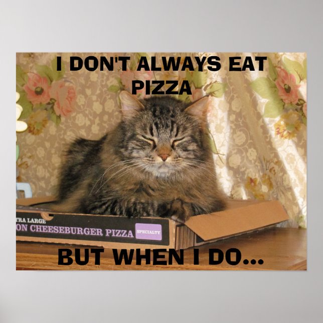 cheeseburger pizza kitty poster (Front)