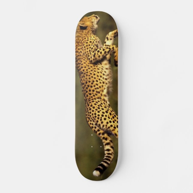 cheeta style skateboard (Front)