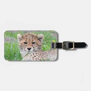 Cheetah20150904 Luggage Tag