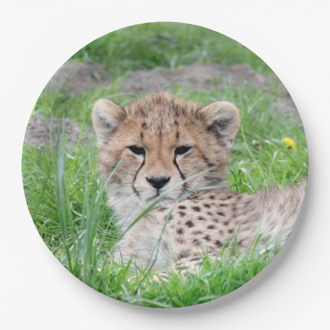 Cheetah20150904 Paper Plate (Front)