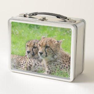 Cheetah 001 metal lunch box