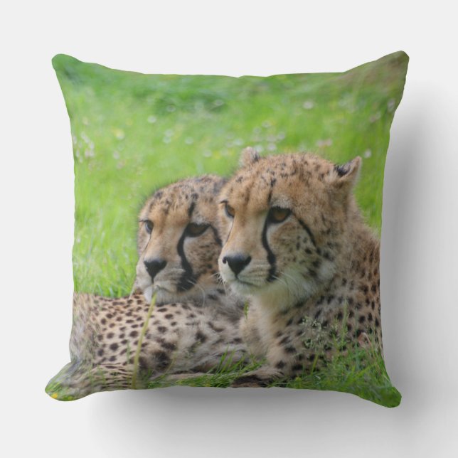 Cheetah 001 throw pillow (Front)