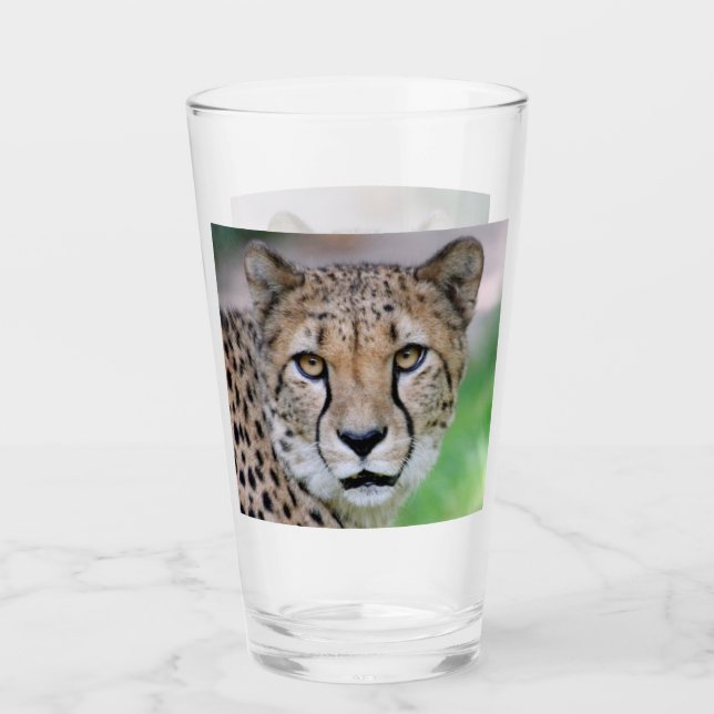 Cheetah 009 glass (Front)