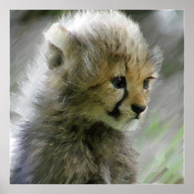 Cheetah 014 poster (Front)