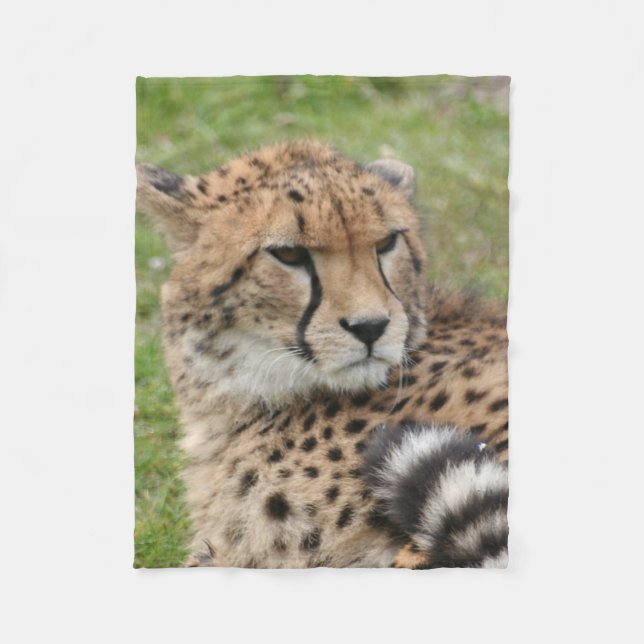Cheetah 1115 fleece blanket (Front)